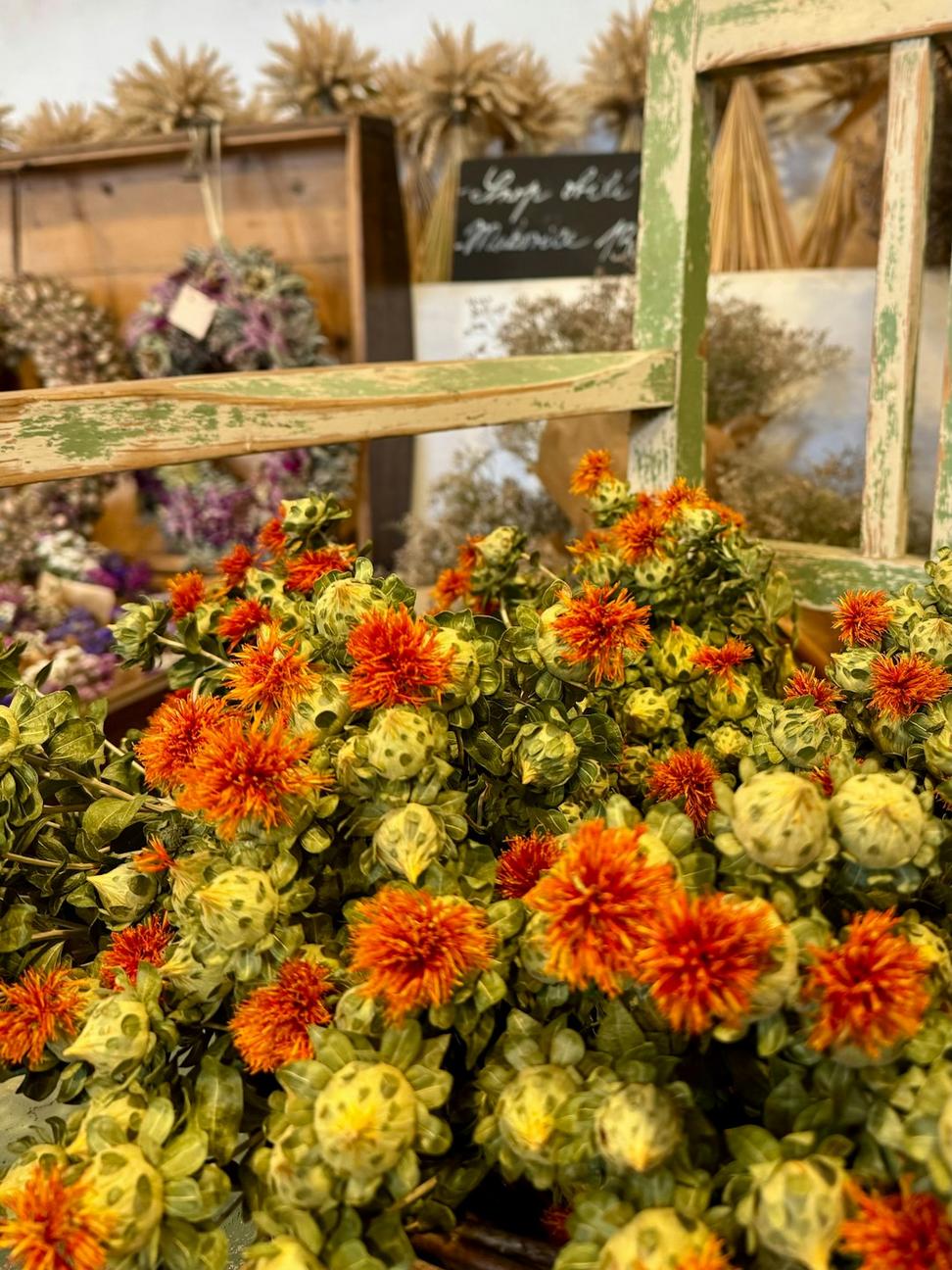 Pressed botanical elements