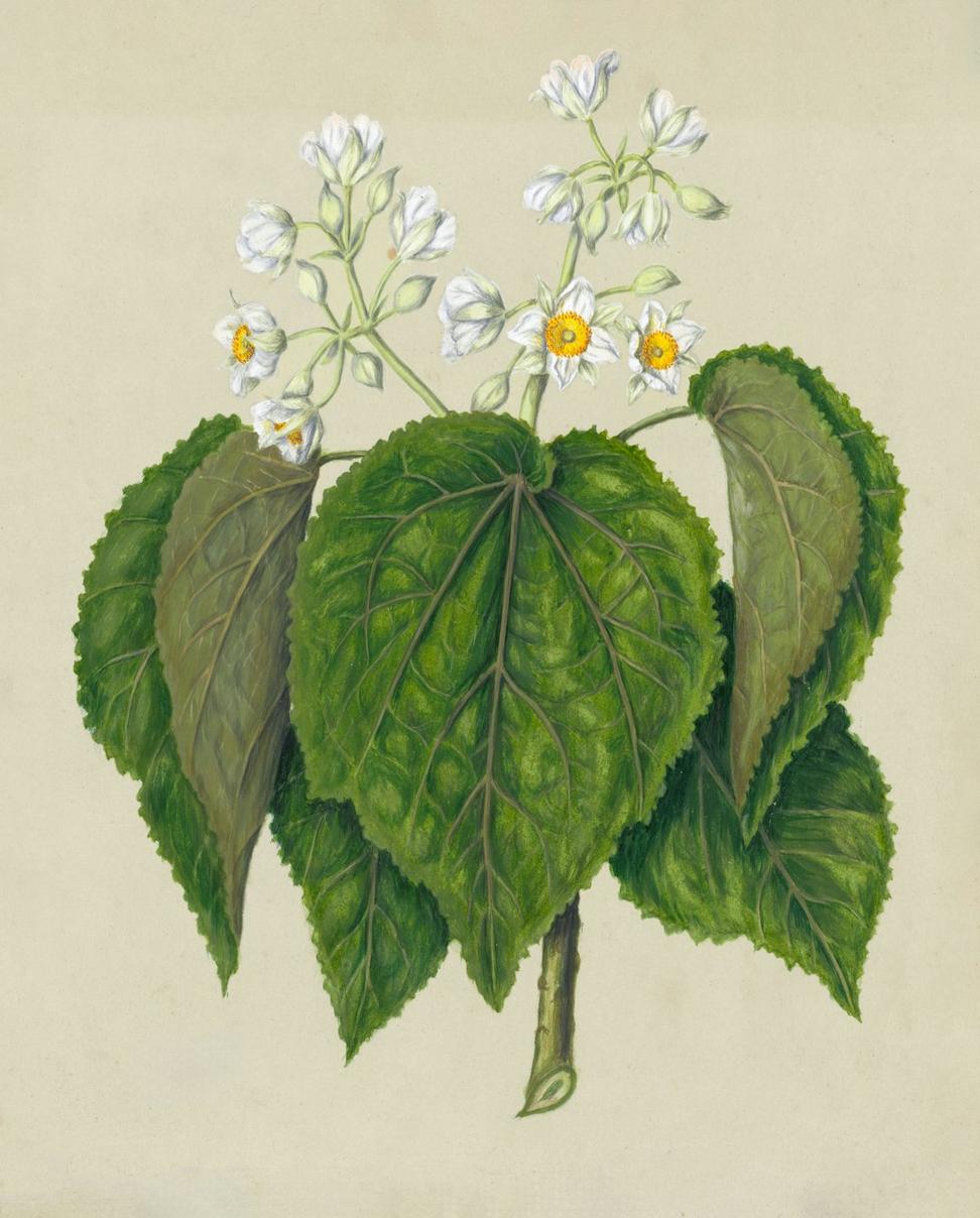 Decorative floral element