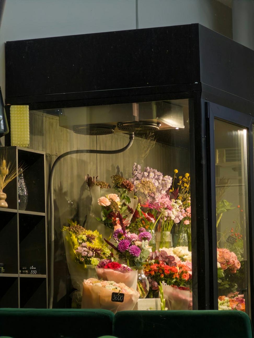 Quindar Haven Florals Workshop