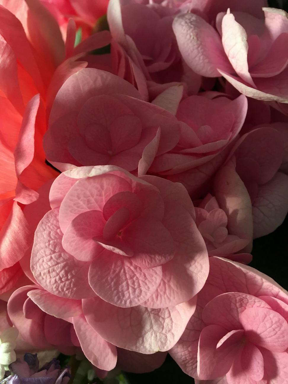 Soft pink peony bouquet